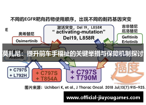 莫扎尼：提升前车手福祉的关键举措与保障机制探讨